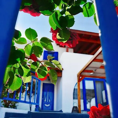 Rose On The Βίλα *